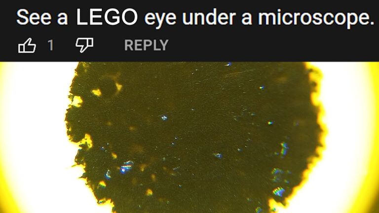 Lego Lab: Unleashing Creativity with Requested Experiments